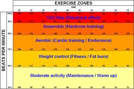 exer zones 